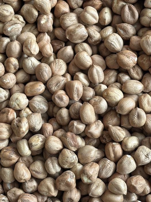 2 kg ekologiczne orzechy laskowe łuskane