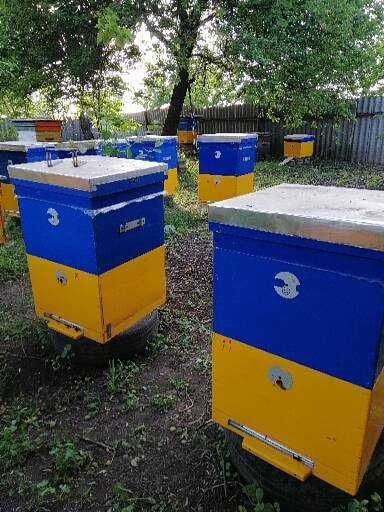 ПРОДАМ вулики 12 рамкові