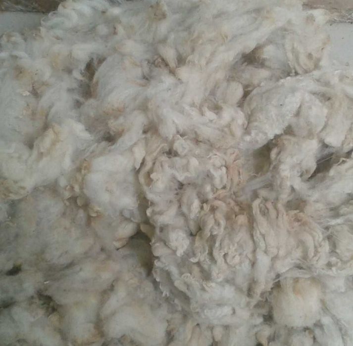 Продаємо вовну - шерсть овечу