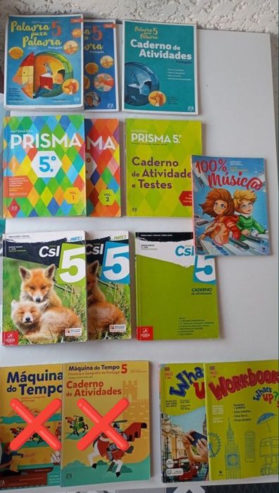 Cadernos de atividades e Manuais 5° ano