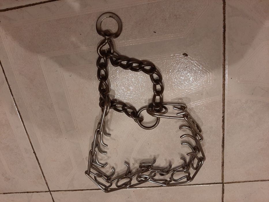 Ошейник строгий для собаки