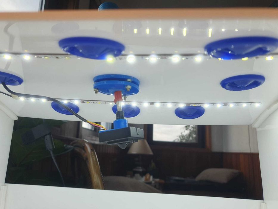 Endo trainer laparoscopia com pinças (dissetor partido)