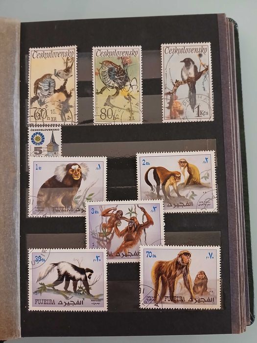 Álbum para filatelia