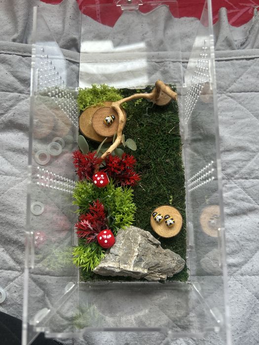 TANIO Terrarium  dla zwierząt NA ZAMOWIENIE skakun, ptasznik itd