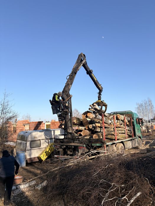 Frezowanie  pni usuwanie karp wycinka drzew rebak podnosnik