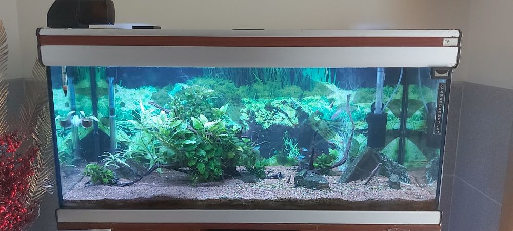 Aquário Aquatlantis