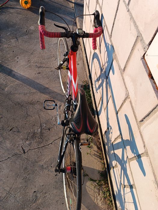 Atala Speedy 24,  wersja G5