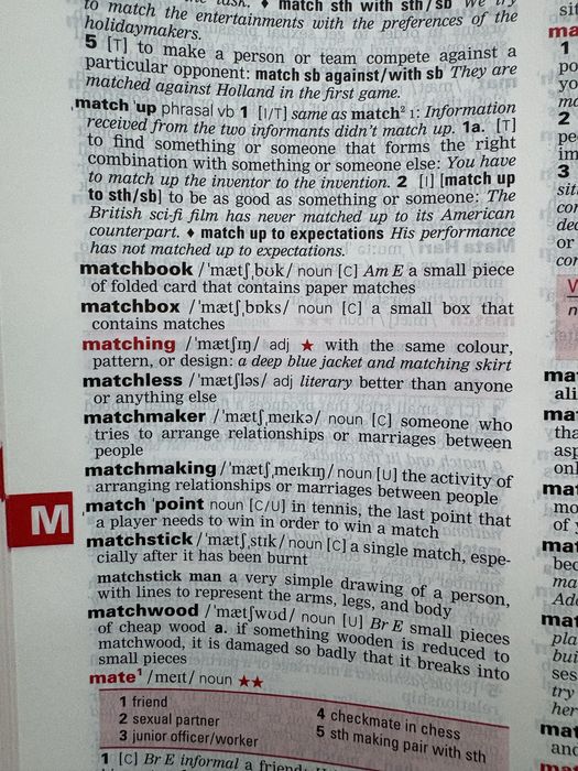 Macmillian English dictionary for advanced learners