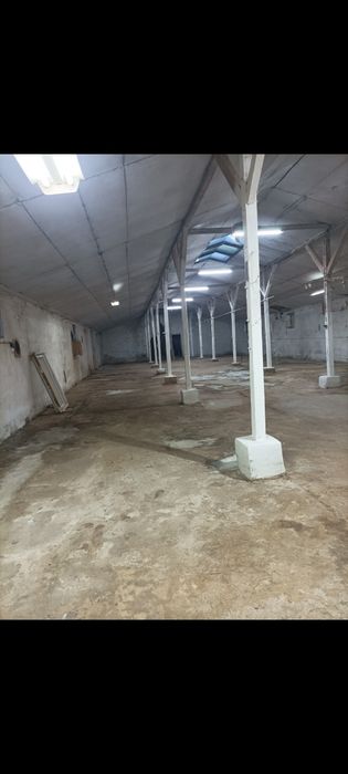 Wynajmę hale, magazyn