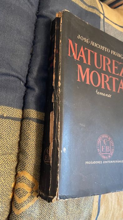 Livro Natureza Morta Romance
