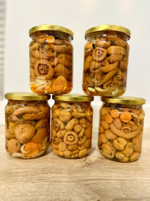 Rydze marynowane w zalewie octowej