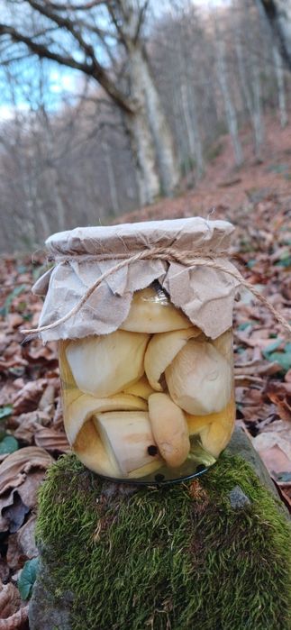 Гриби білі мариновані, консервовані, карпатські