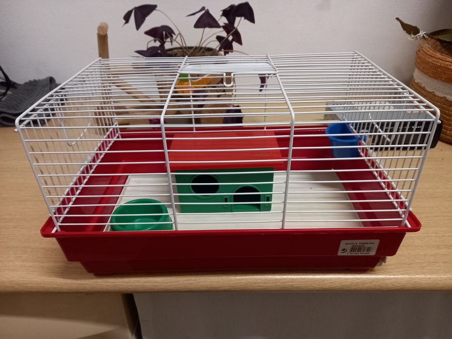 Vendo 3 gaiolas a primeira 10 euros a segunda 15 euros e a terceira 20