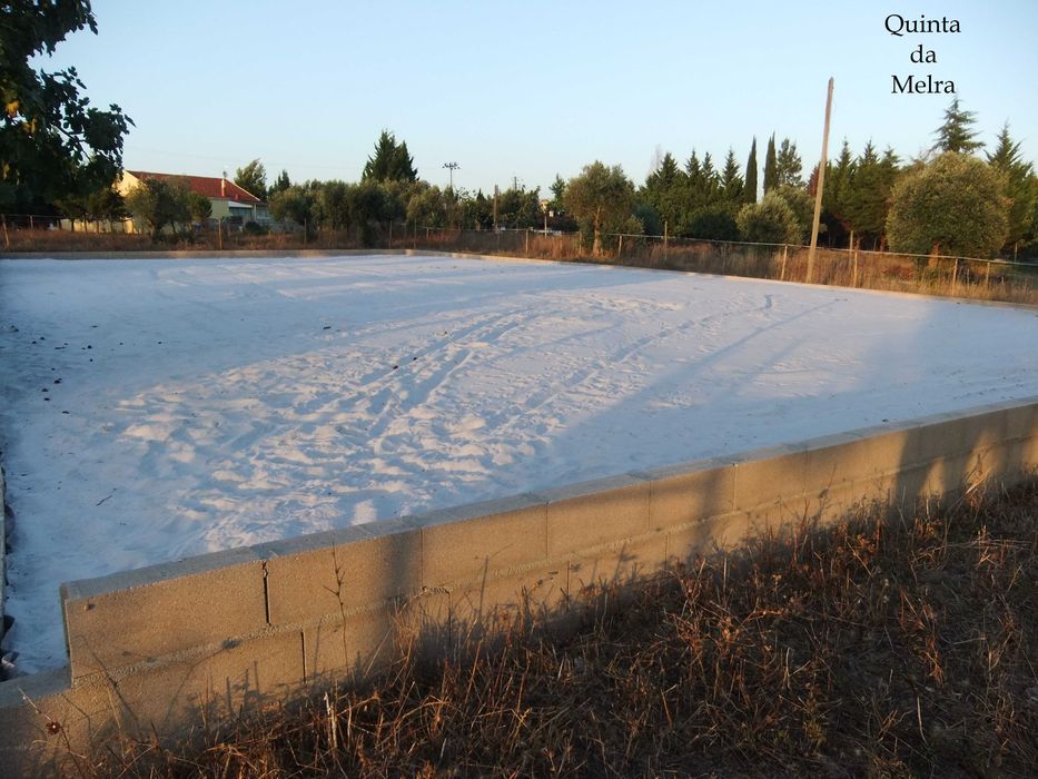 Cavalos a penso/Livery Yard (PT/EN)