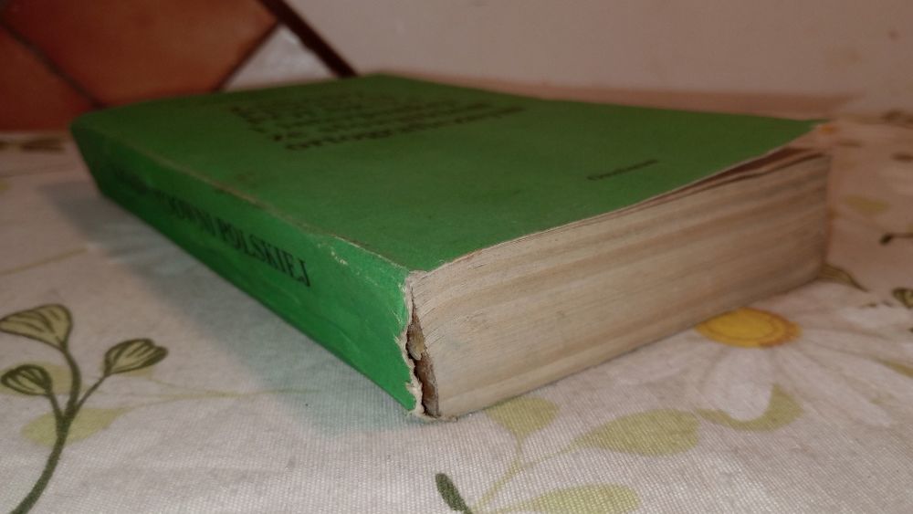 Zasady pisowni polskiej i interpunkcji ze słownikiem ortograficznym