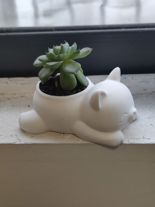 Vaso gatinho suculenta