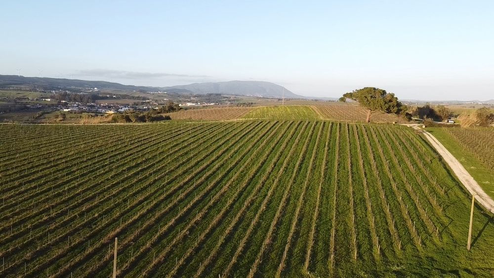 Fotos aéreas com drone