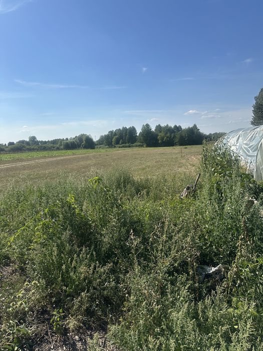 Działka - Siedlisko na sprzedaż