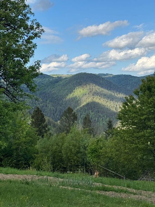 Найкрасивіші краєвиди в  Микуличині , земля Карпати, ділянка в горах