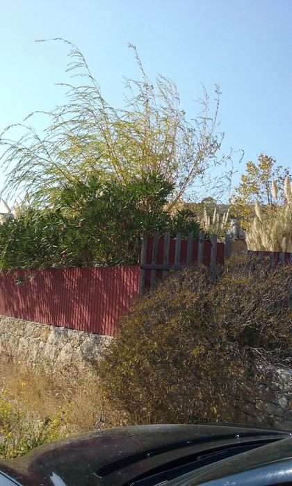 Moradia T1 Rústica com Mezanine, Anexo e Terraço, Terrugem Sintra