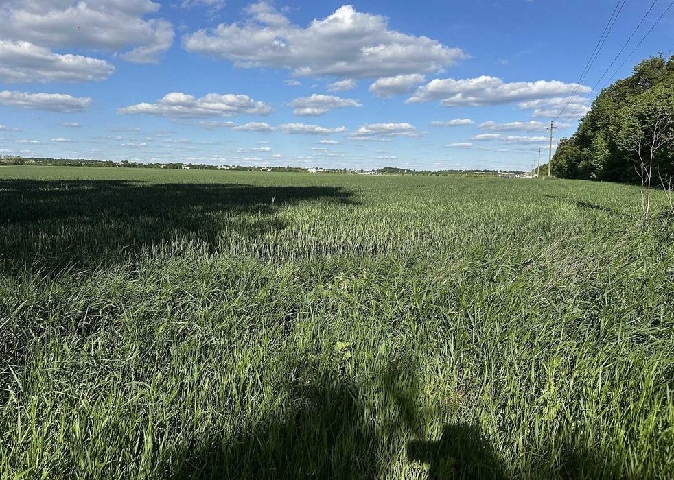 Продаж ділянки комерційного призначення в Якушинцях