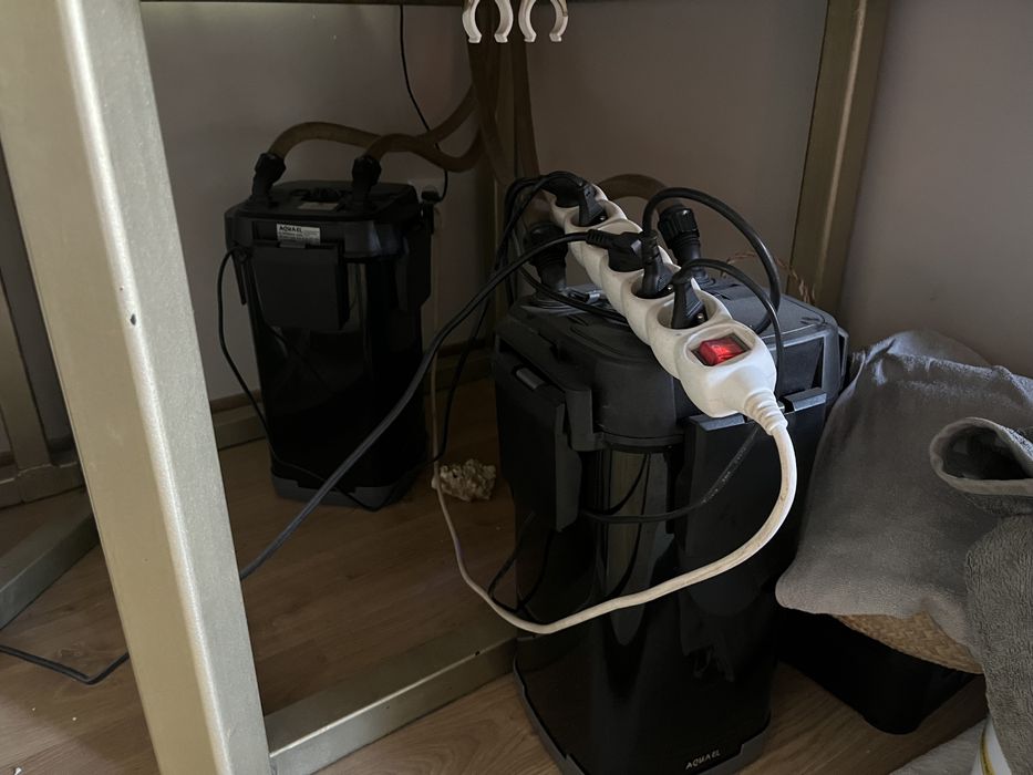 Akwarium 1200 l + ryby frontozy i calvus czarny