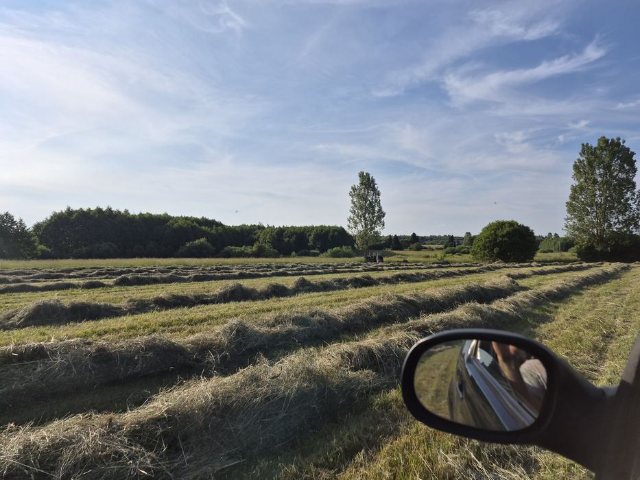 Siano 2026 150 cm możliwość transportu