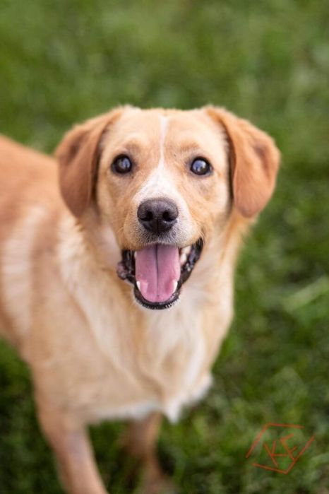 Jest młody, kontaktowy chciałby mieć kochającego opiekuna