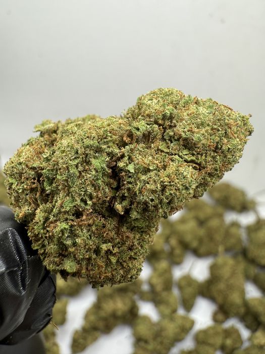 1kg susz CBD Blackberry/THC<0.3%