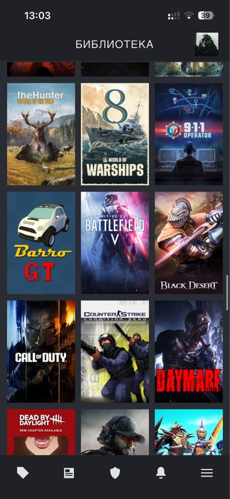 Жирный аккаунт в стим