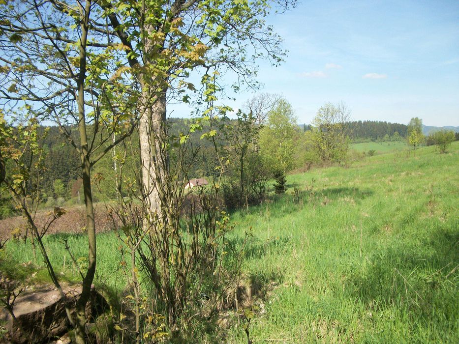 działka  w Bartnicy na sprzedaż