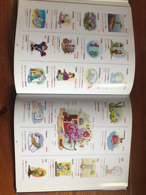 O meu Grande Dicionário ilustrado Português - Inglês