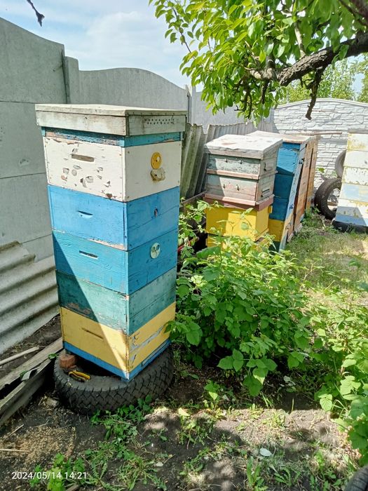 Многокорпусные ульи, рамки 230