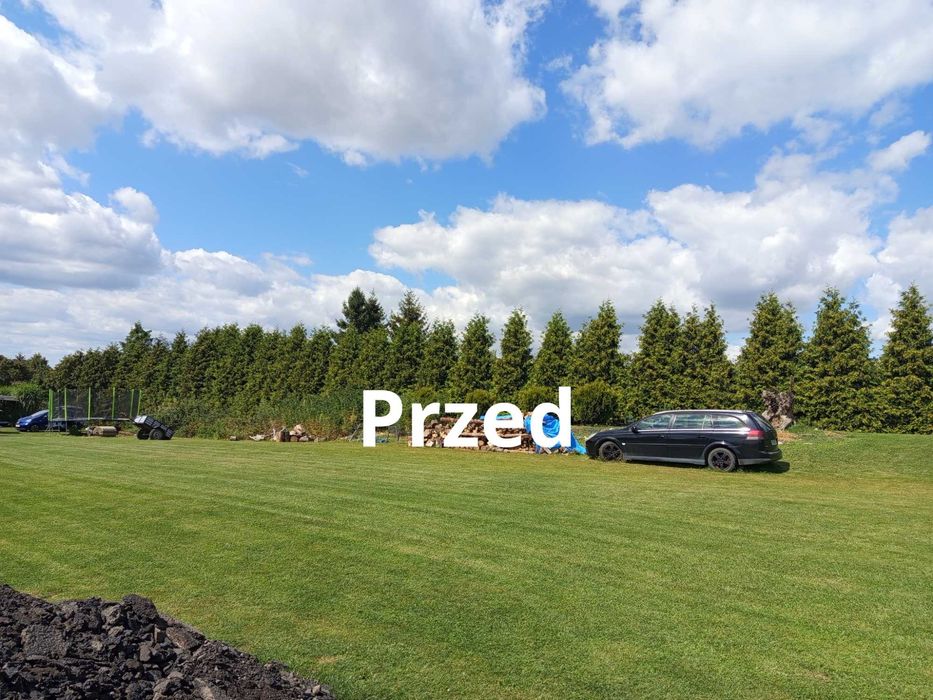 Usługi ogrodnicze, przycinanie drzewek, tui, tworzenie rabat.