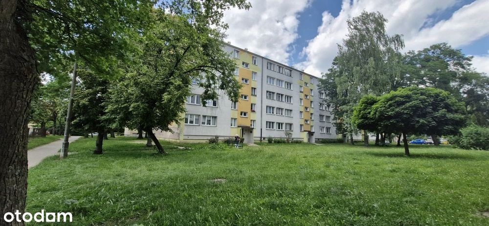 Łódź Dąbrowa 3 Pokoje 1p Do Remontu Balkon Nowa Instalacja Elektryczna