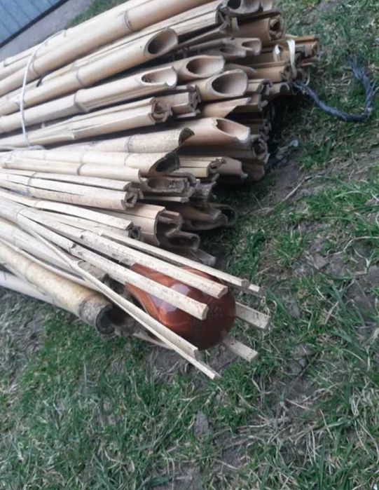 Tyczki pochodnie bambusowe 150-170 grube nowe