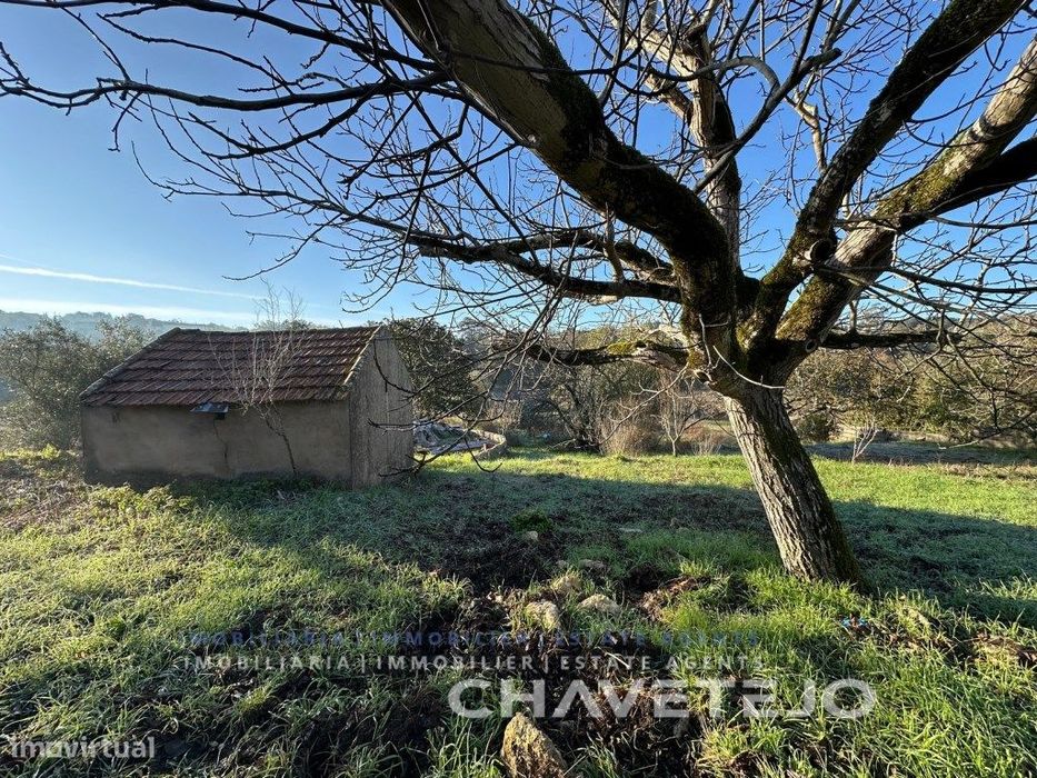 Casa de campo com anexos em zona tranquila a 10 km de Tomar.