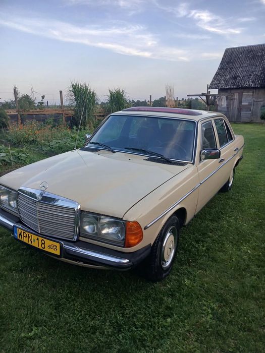 Mercedes-Benz W123