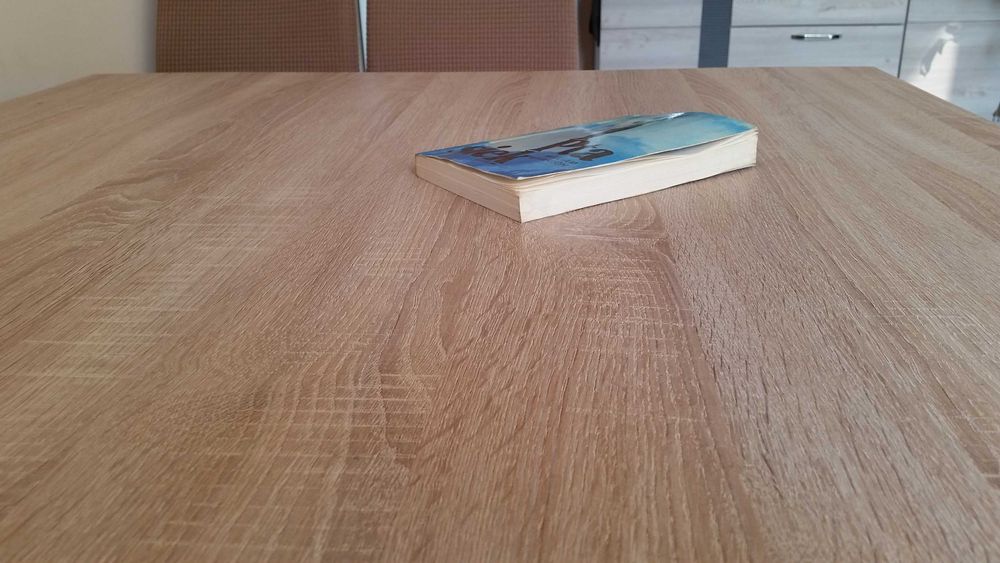 William Wharton - Ptasiek