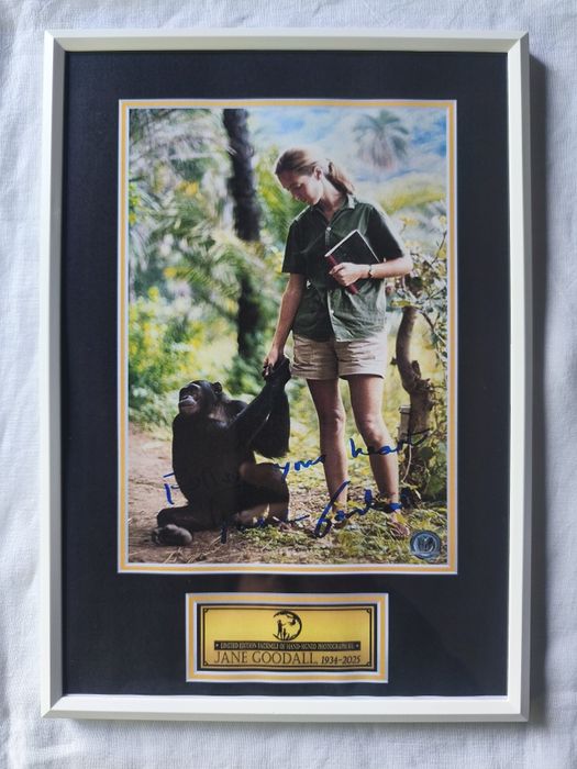 Moldura Jane Goodall com Autógrafo (A4)