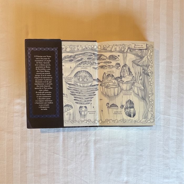 Livro “A Princesa da Escuridão” N.º 5 de Tea Stilton como novo