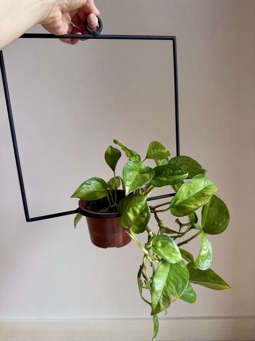 Kwietnik wiszący czarny metalowy nowoczesny