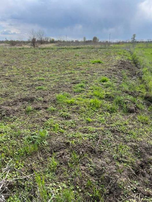 Пропоную до продажу земельну ділянку с. Ч. Слобода