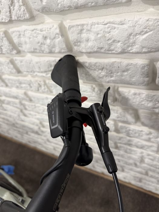 Rower elektryczny na pasku Rose Xtra Watt Plus 2 Bosch L
