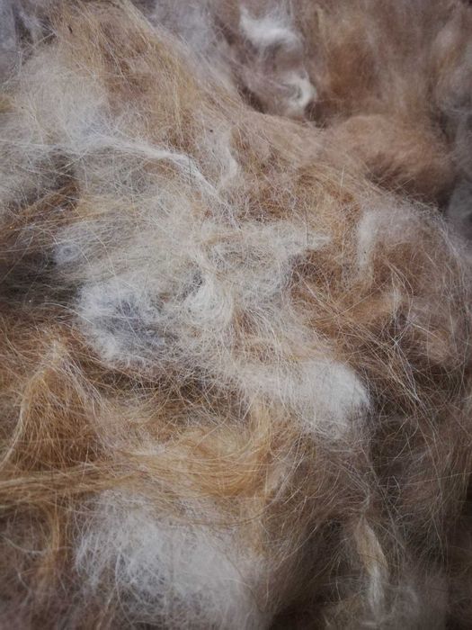 Продам собачью шерсть