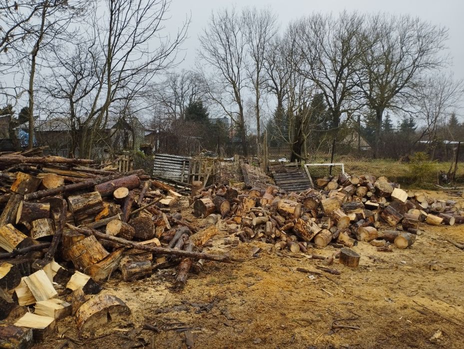 Drewno opałowe suche