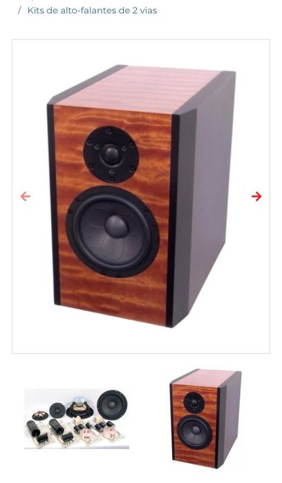 Woofers de referência mundial, Scanspeak  WU/4741T00