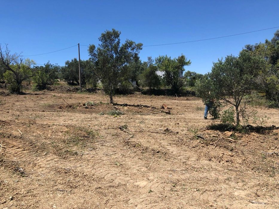 Terreno urbano de 4000m² com ruína e vista panorâmica