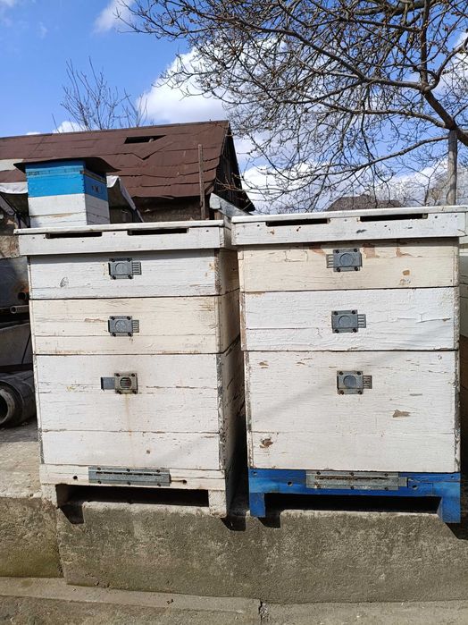 Вулики для бджіл ульи дадан 10-15шт.