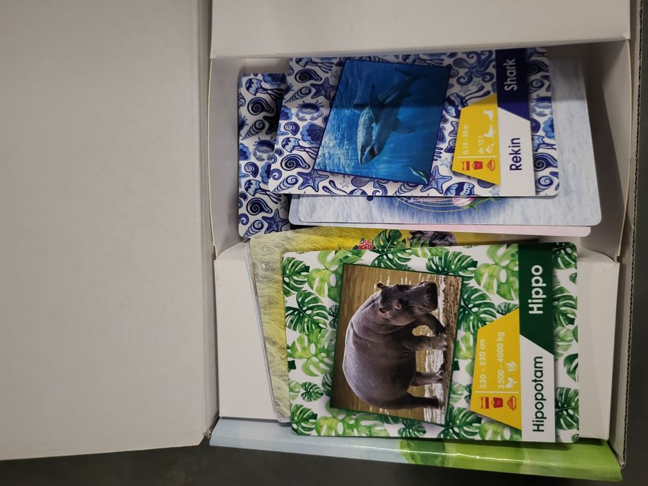 Zestaw kart 4D smarty